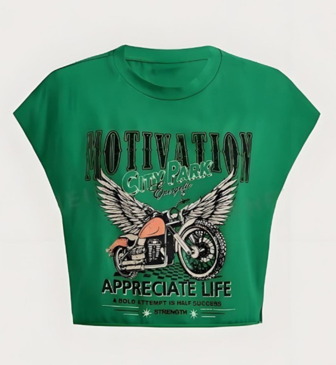 Motivation T